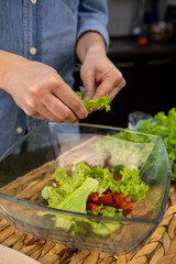 cooking summer salad cucumber and tomatoes