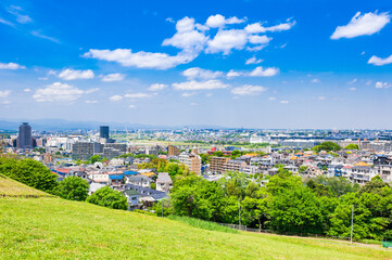 Fototapeta premium 青空が広がる郊外の住宅地