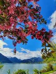 Fr&uuml;hling in Zell am See-Kaprun