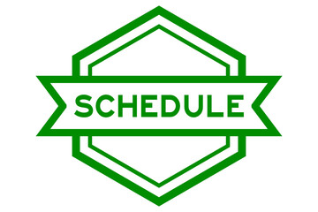 Hexagon vintage label banner in green color with word schedule on white background