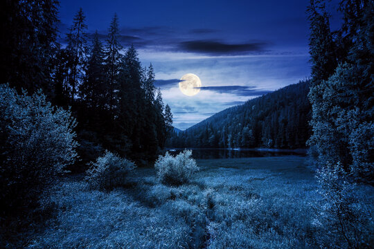 mountain summer landscape with lake at night. beautiful nature scenery of synevyr national park, ukraine in full moon light. popular travel destination