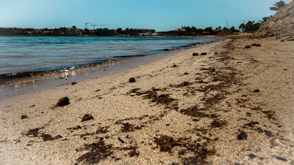 orilla de la playa Talamanca en Ibiza