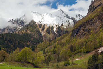 Fototapeta na wymiar Wilde Bergnebel in den Allgäuer Alpen mit verschneiten Gipfeln und frischem Grün im Tal