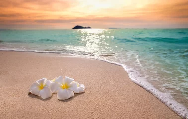 Fotobehang White frangipani plumeria flowers on sand at the beach front of the ocean waves background. © jutaphoto