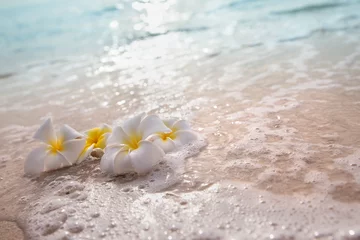Deurstickers White frangipani plumeria flowers on sand at the beach front of the ocean waves background. © jutaphoto