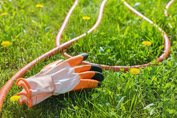 The theme of garden equipment. Glove and hose