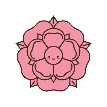 Tudoe rose of Englnd vector illustration.