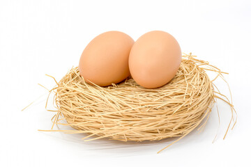 Eggs on white background