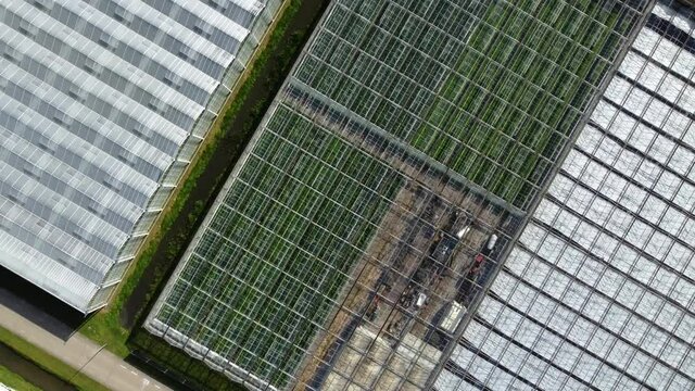 Thousands of greenhouses, where they grow plants, vegetables, fruits and flowers in a green and sustainable way with high tech technology in the Netherlands.