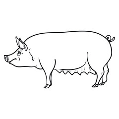 monochrome comic pig from the side. vector, outline, isolated.