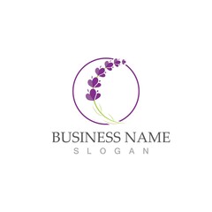 fresh lavender logo vector template flat