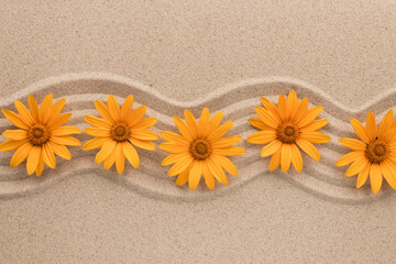 Fototapeta na wymiar Zigzag from yellow daisies. Beauty in nature. Top view. Summer concept.
