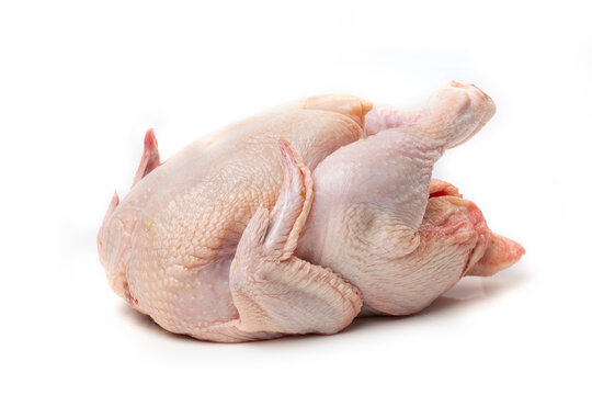 Raw chicken carcass isolated on a white background. Close-up