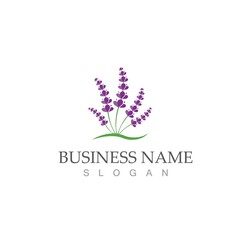 fresh lavender logo vector template flat