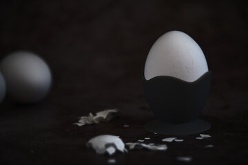 chicken white boiled egg on egg holder