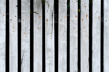 White rough wooden garden fence 