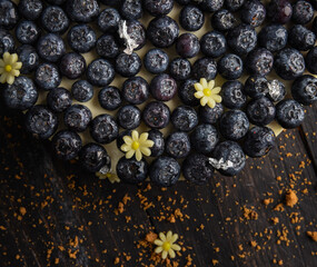 Round large blueberry cheesecake.