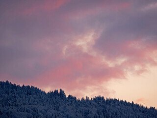 Evening mood when it is cloudy over snow-covered forest