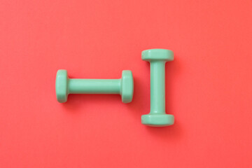 Green dumbbells to do physical sports at home