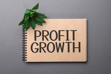 profit growth text on craft colored notepad and green plant on the dark background