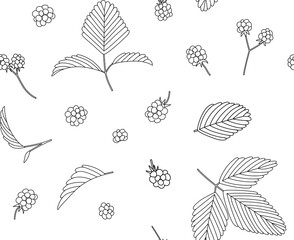 Dewberry, blackberry or black raspberry vector seamless pattern with branches, leaves and berries line hand drawn illustration. Isolated on white background.