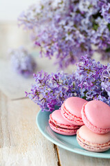 Fototapeta na wymiar Postcard with violet lilac bouquet in a blue cup and delicious french macarons. Template for birthday card, greeting for Mother's Day, Saint Valentine's day, 8 March, Women's Day. White background
