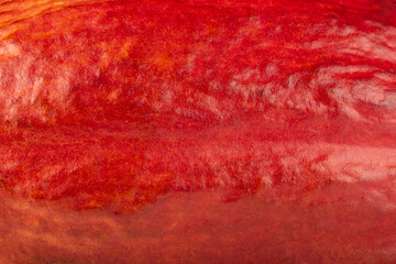 Background with texture of cocoa fruit peel