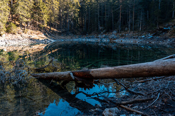 Baumstamm im See neben dem Eibsee