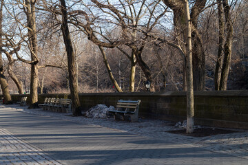 Empty Sidewalk and Benches Outside of Central Park in New York City during the Winter with Trees