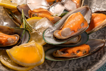 Large green mussels with ice lemon and herbs close-up.