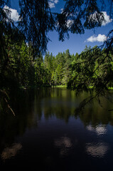 Beautiful Sapnu (Dreams) lake in sunny summer evening, Talsi, Latvia.