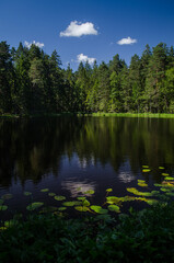 Fototapeta na wymiar Beautiful Sapnu (Dreams) lake in sunny summer evening, Talsi, Latvia.
