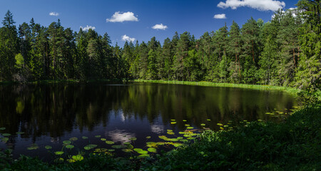 Obraz na płótnie Canvas Beautiful Sapnu (Dreams) lake in sunny summer evening, Talsi, Latvia.