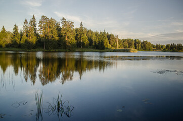 Beautiful pond in sunny summer evening.