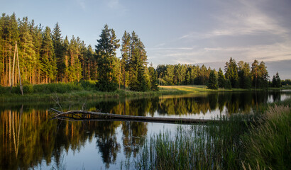 Beautiful pond in sunny summer evening.