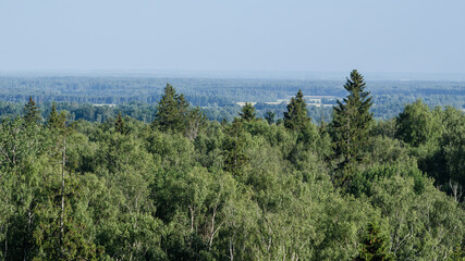 Aerial view of Kamparkalns watching tower, Talsi, Latvia.