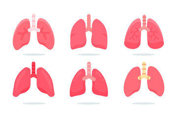 Human Lungs Vector. The lungs are the internal organs of the body that aid in breathing.