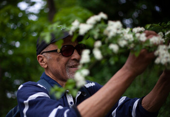Latino American man likes a flowering branch in spring