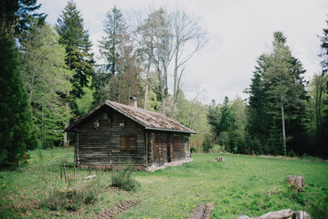 Fototapeta na wymiar Waldhütte