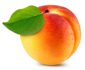 Apricot with apricot leaves isolated