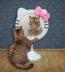 A beige cat looks in a funny round mirror at home. He sees a tiger there.