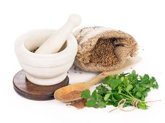 Coriander fresh greens cilantroisolated on the white.