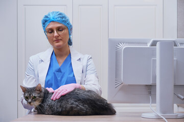 A veterinarian examines a sick cat on a table in a veterinary clinic