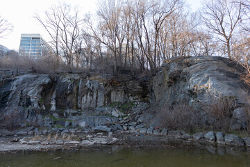 Morningside Park Pond during the Winter with Bare Trees in Morningside Heights of New York City