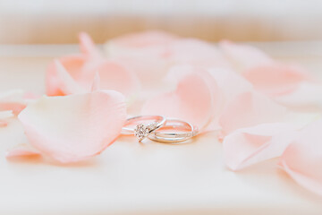 A pair of silver wedding diamond rings are placed on a light yellow wooden table, surrounded by pink rose petals