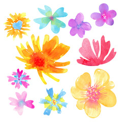 Set of watercolor hand drawn flowers