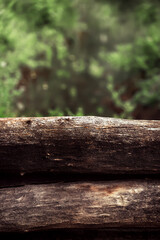 Large brown textured wooden logs against the background of a green spring forest. Natural background with space for text. Summer landscape. Fallen trees in a picturesque park. Nature protection.