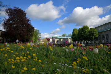 Obraz premium Tulpenblüte in Bad Kissingen mit Blick zu Arkadenbau und Regentenbau