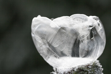 Seifenblase, gefroren, Winter, kalt,