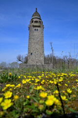 Der Wittelsbacher Turm bei Bad Kissingen im Frühling